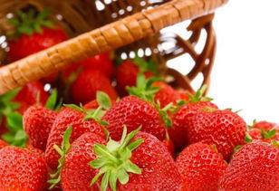 汾阳小草莓吃瓜,甜蜜瓜果，品味田园生活新风尚