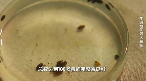 古代吃瓜不吐籽,吃瓜不吐籽，品味传统饮食文化