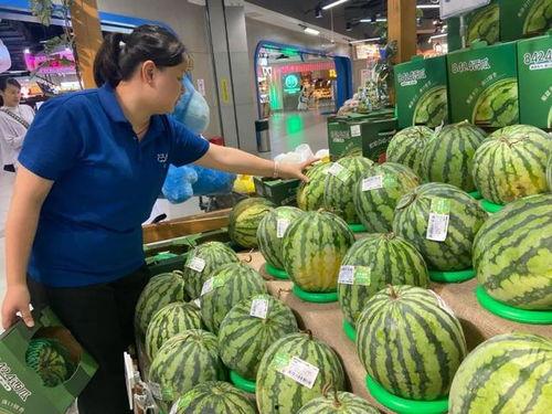 灵武市吃瓜,瓜果飘香，品味生活新篇章