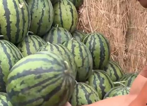 深度吃瓜,吃瓜群众的狂欢盛宴