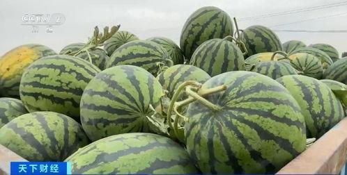 全网热门吃瓜,揭秘热门吃瓜事件背后的真相