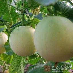 吃瓜嗓子舌头疼,嗓子痛、舌头疼，如何应对？