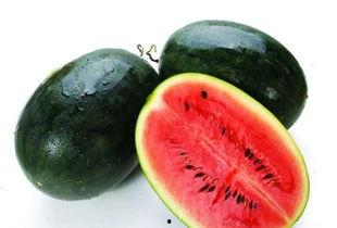 白蚊喜欢吃蓝瓜还是红瓜,白蚊的美食偏好揭秘