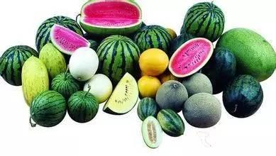 大梅子吃瓜,揭秘娱乐圈幕后故事