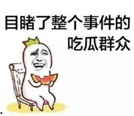 吃瓜群众怎么排座