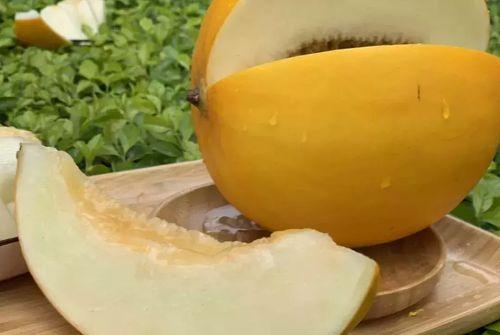 怎样吃缅甸蜜瓜,美味食用的五大秘诀