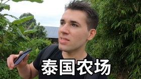 樊樊吃瓜多巴胺,多巴胺驱动的快乐盛宴