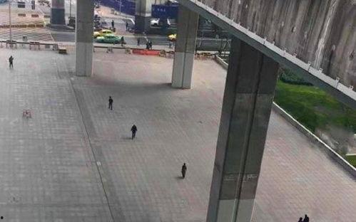 吃瓜站台,网络舆论场的风云变幻