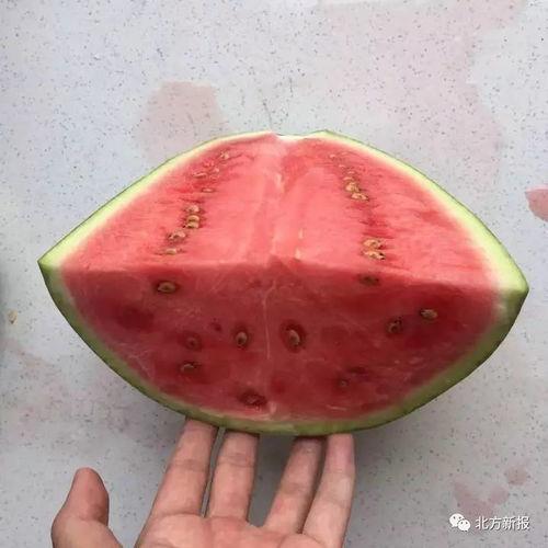 终于可以吃瓜了,终于迎来畅快吃瓜时刻